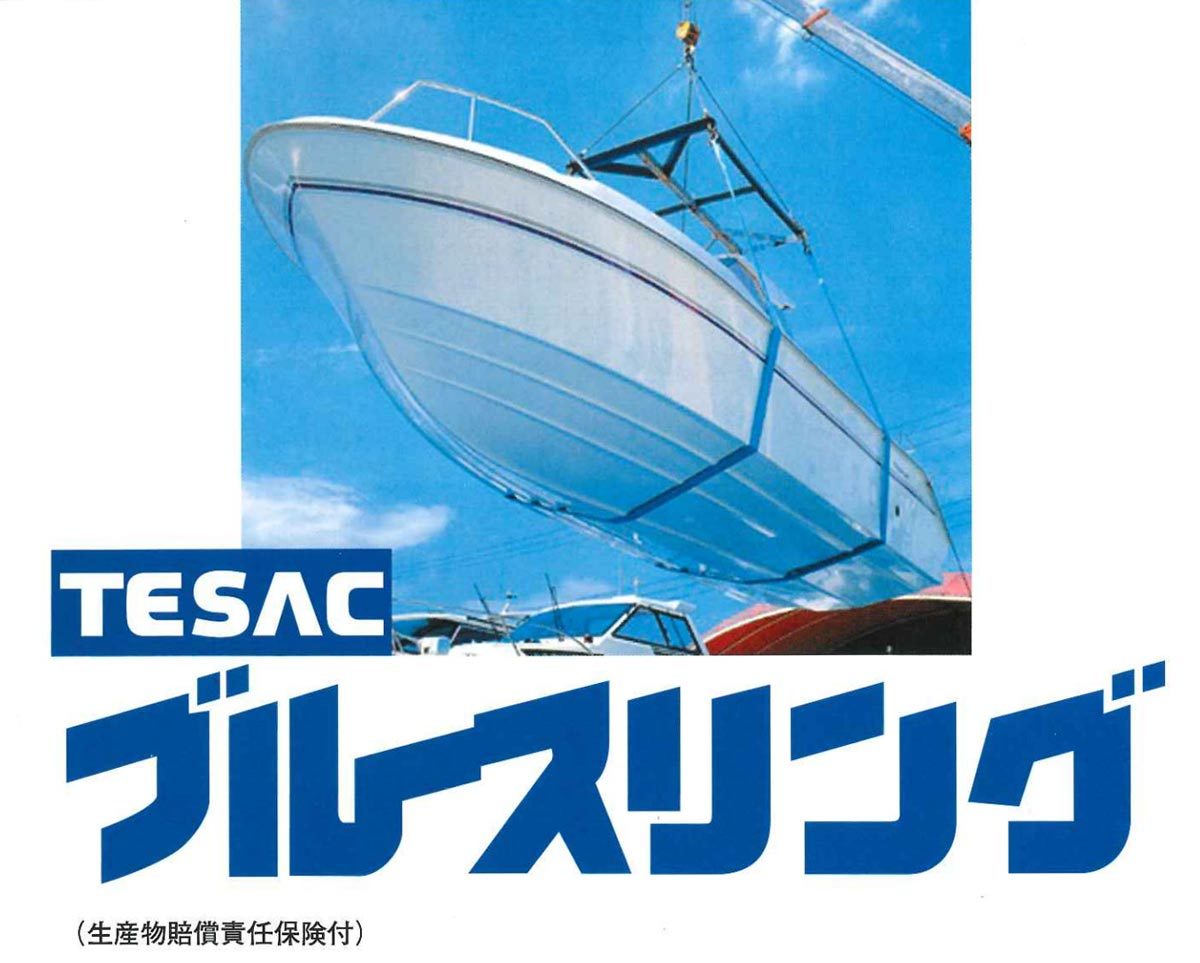 TESAC ブルースリングソフトE形（両端アイタイプ）荷重3.2t 全長5m